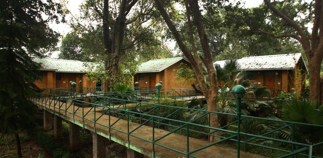 Mpt White Tiger Forest Lodge Tāla Exterior foto